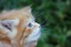 enochboy5weeks1369_small.jpg