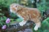 enochboy7weeks286101_small.jpg