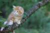 enochboy7weeks28612_small.jpg