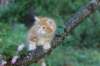 enochboy7weeks286152_small.jpg