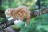 enochboy7weeks28622_small.jpg