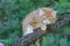enochboy7weeks28669_small.jpg