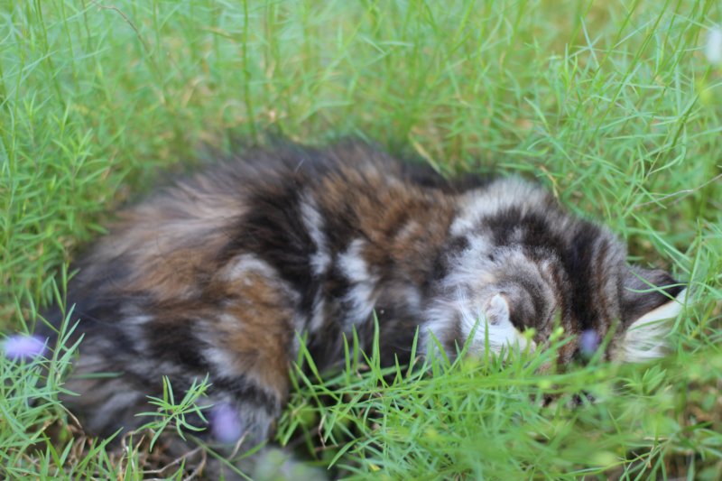ephratah115weeks27712.jpg