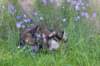 ephratah115weeks27716_small.jpg