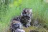 ephratah115weeks2775_small.jpg