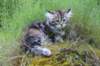 ephratah115weeks2777_small.jpg