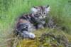 ephratah115weeks2778_small.jpg