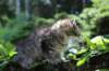 esther115viikkoa27718_small.jpg