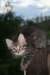 Photo Number 11