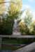 Photo Number 7