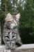 Photo Number 11