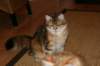 img_3204_small.jpg