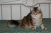 img_3211_small.jpg