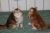 img_3214_small.jpg
