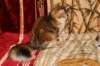 img_3231_small.jpg