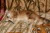 img_3299_small.jpg