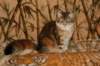 img_3309_small.jpg
