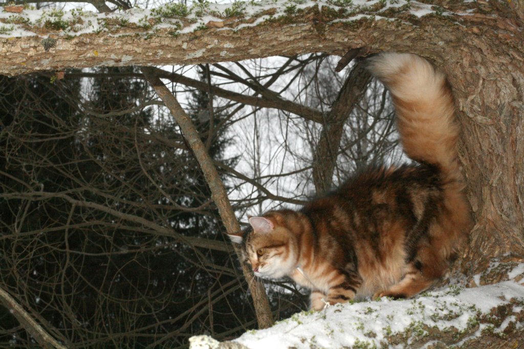 ekaterinamolaska85monthsimg_3351.jpg