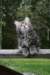 Photo Number 13