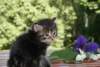 Photo Number 13