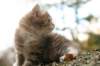 img_6247_small.jpg