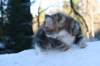 filippus9weeks5_small.jpg