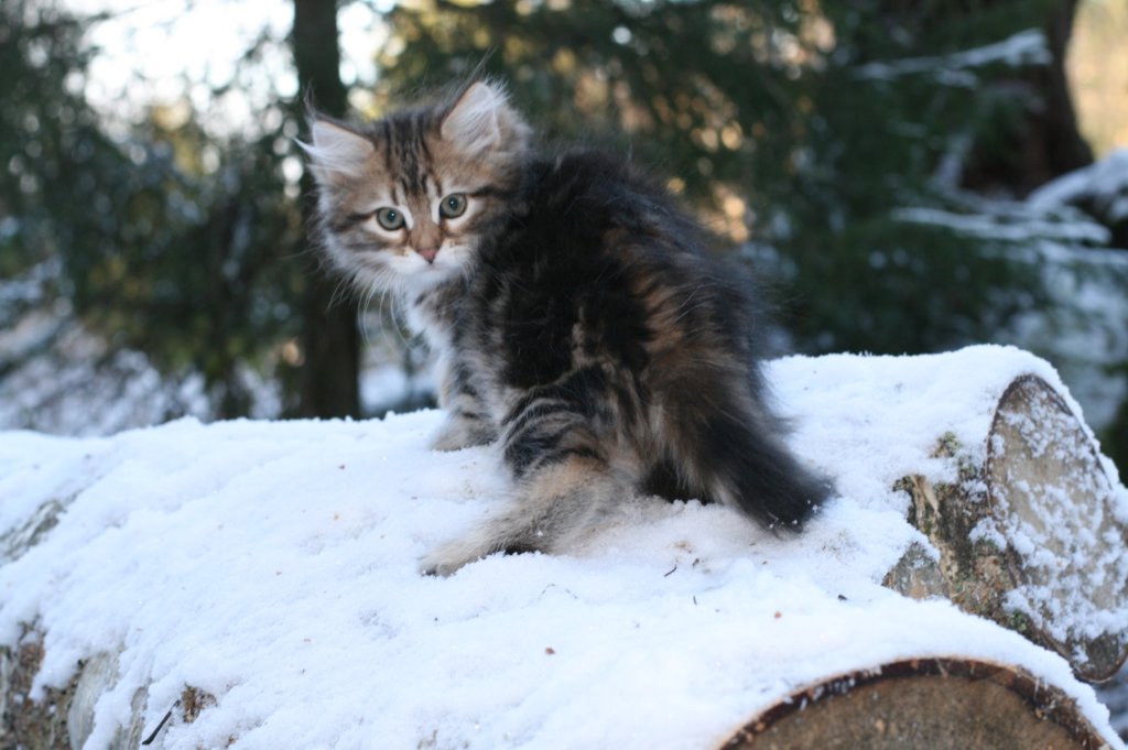 filippus9weeksfanuel9weeks.jpg