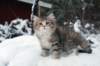 fina9weeks2_small.jpg
