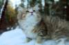 fina9weeks9_small.jpg