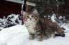 fina9weeks_small.jpg