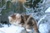 img_0289_small.jpg