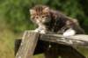 img_4473_small.jpg