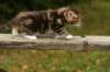 img_4571_small.jpg