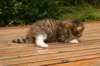 img_3398_small.jpg