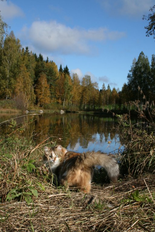 gicamurinavila.jpg