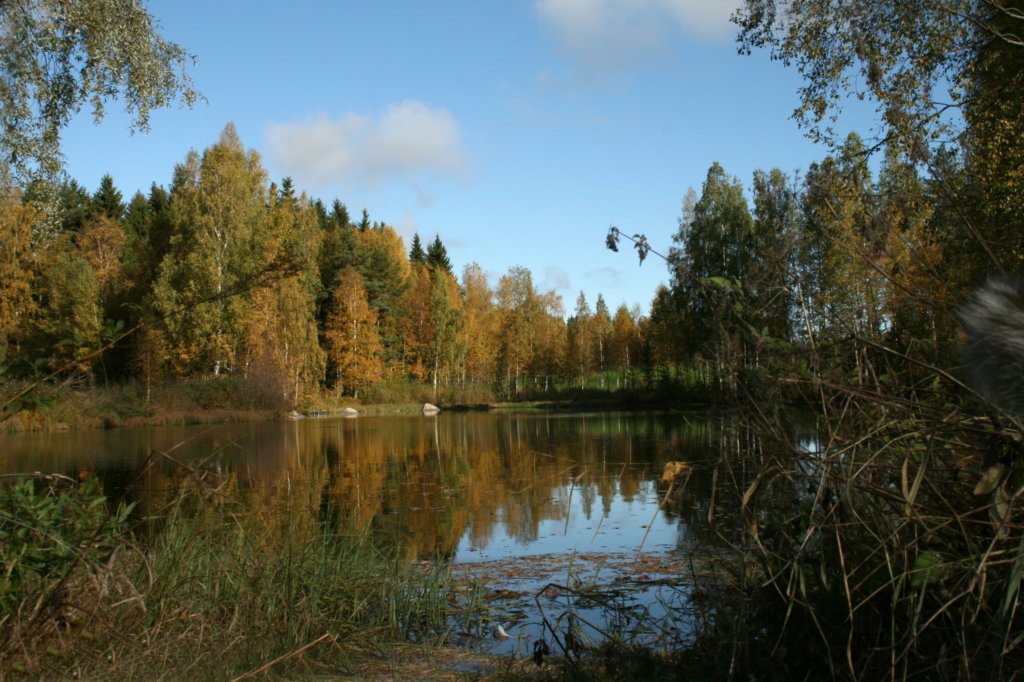 img_9570.jpg