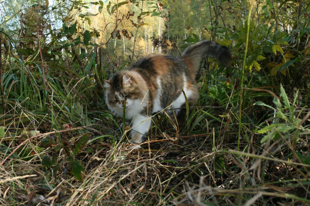img_9597.jpg