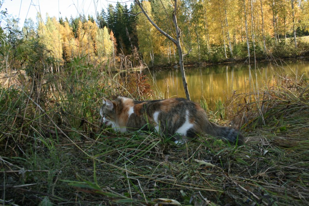 img_9617.jpg