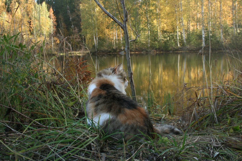 img_9629.jpg