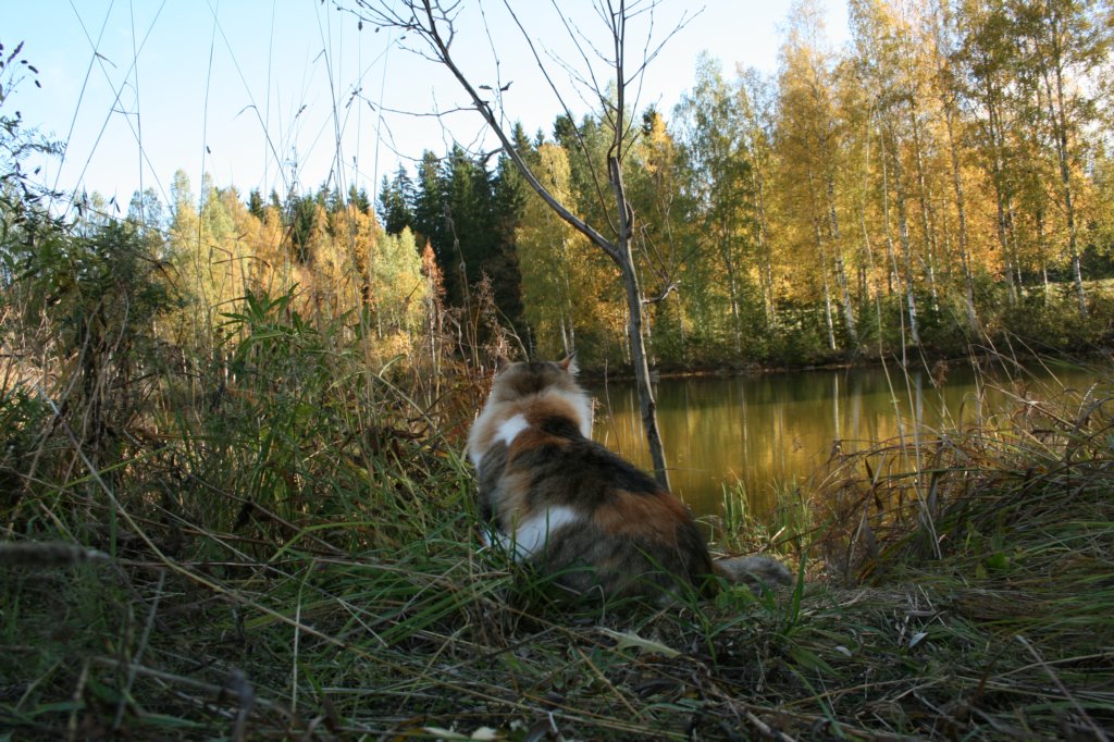 img_9635.jpg