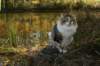 img_9735_small.jpg