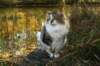 img_9738_small.jpg