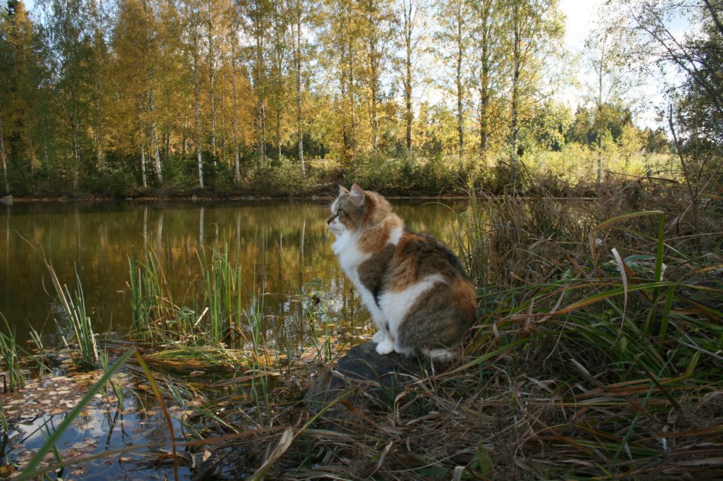 img_9741.jpg