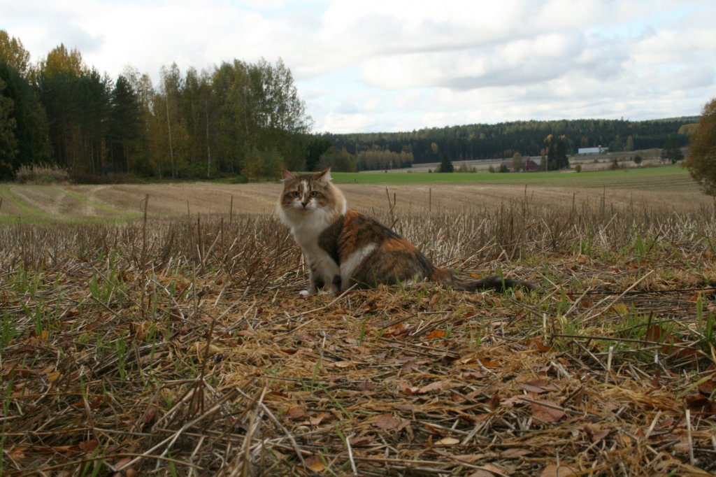 img_9767.jpg