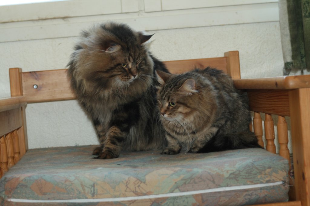 gicamurinesraandchamuringoldatheirdate5.jpg