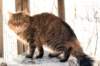 golda16_small.jpg