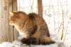 golda19_small.jpg