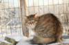 golda26_small.jpg