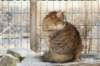 golda27_small.jpg