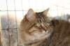 golda31_small.jpg